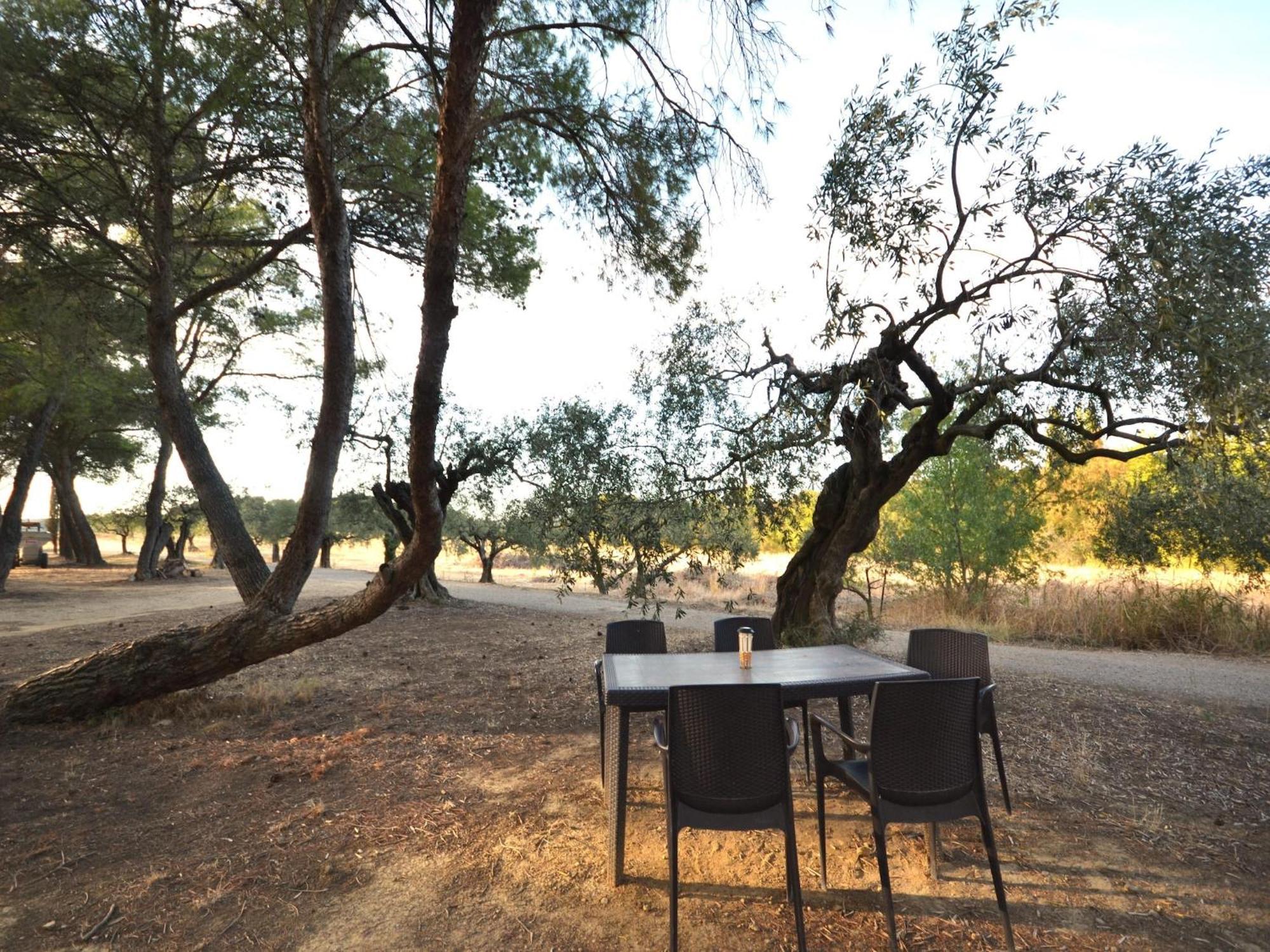 Apartment With Pool Amid Vineyards And Near The Beach 梅兹 外观 照片